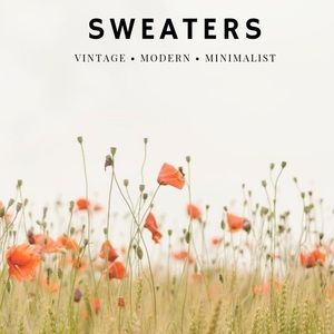 Sweater Collection✨